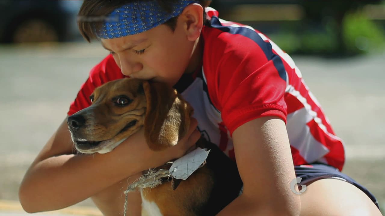 El pequeño can ahora está a salvo... por ahora.