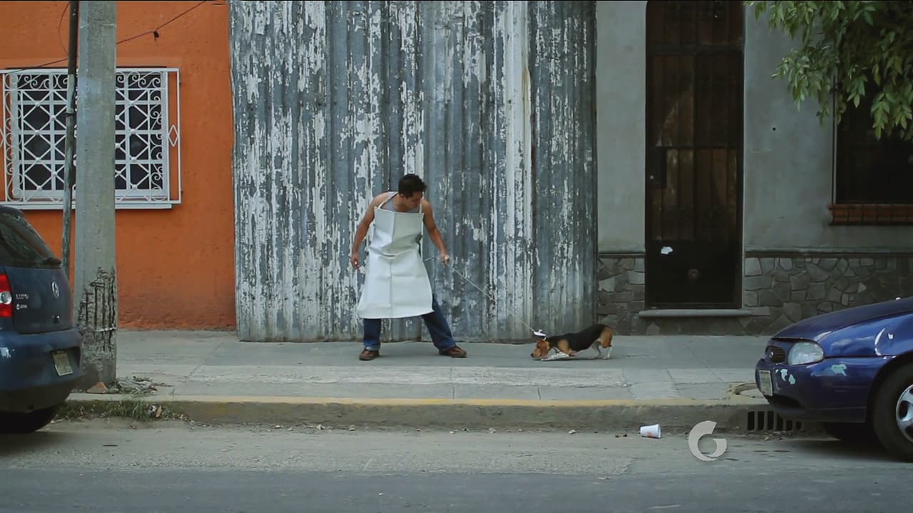 Mientras Poncho va en busca del 'Carnitas', encuentra a un taquero muy sospechoso arrastrando a un pequeño perro.