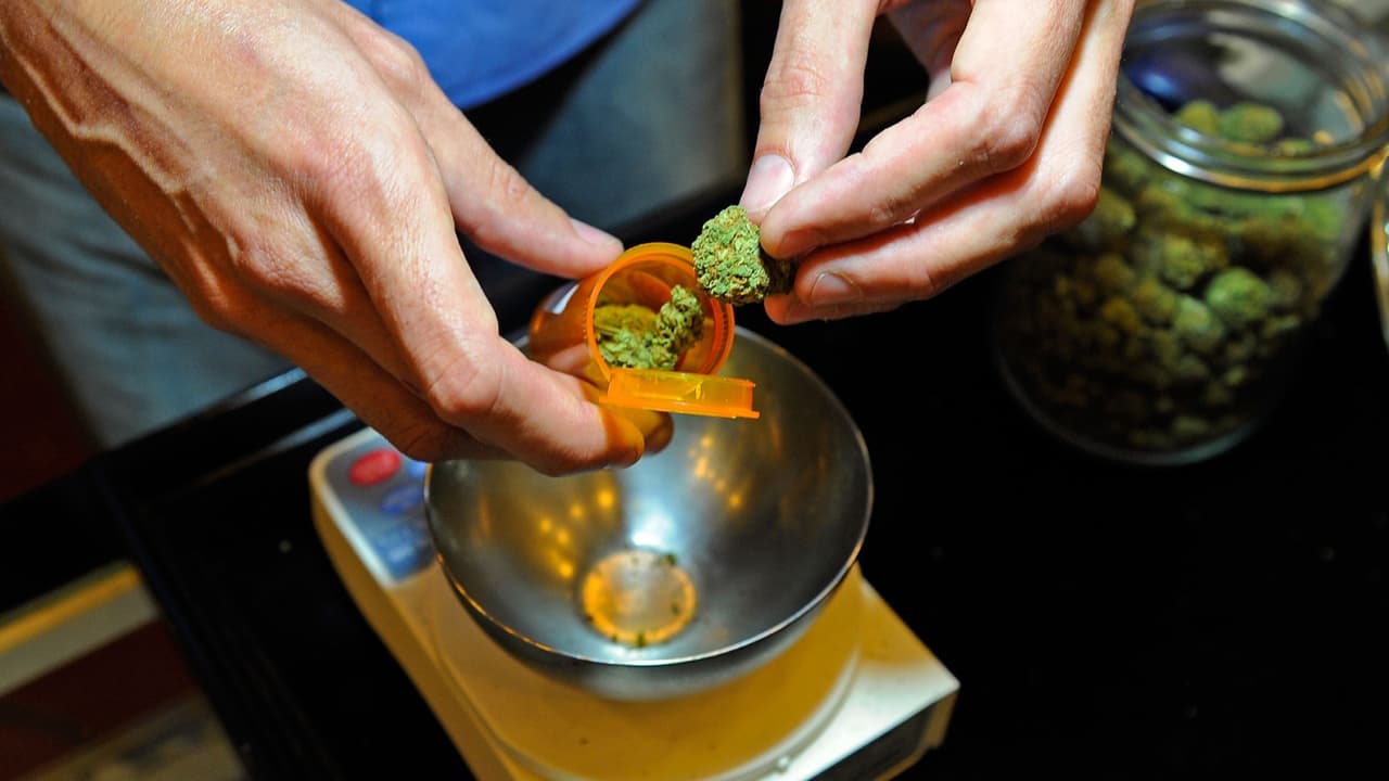 Marihuana en Florida: lo que tienes que saber de la enmienda que permitiría su uso recreativo