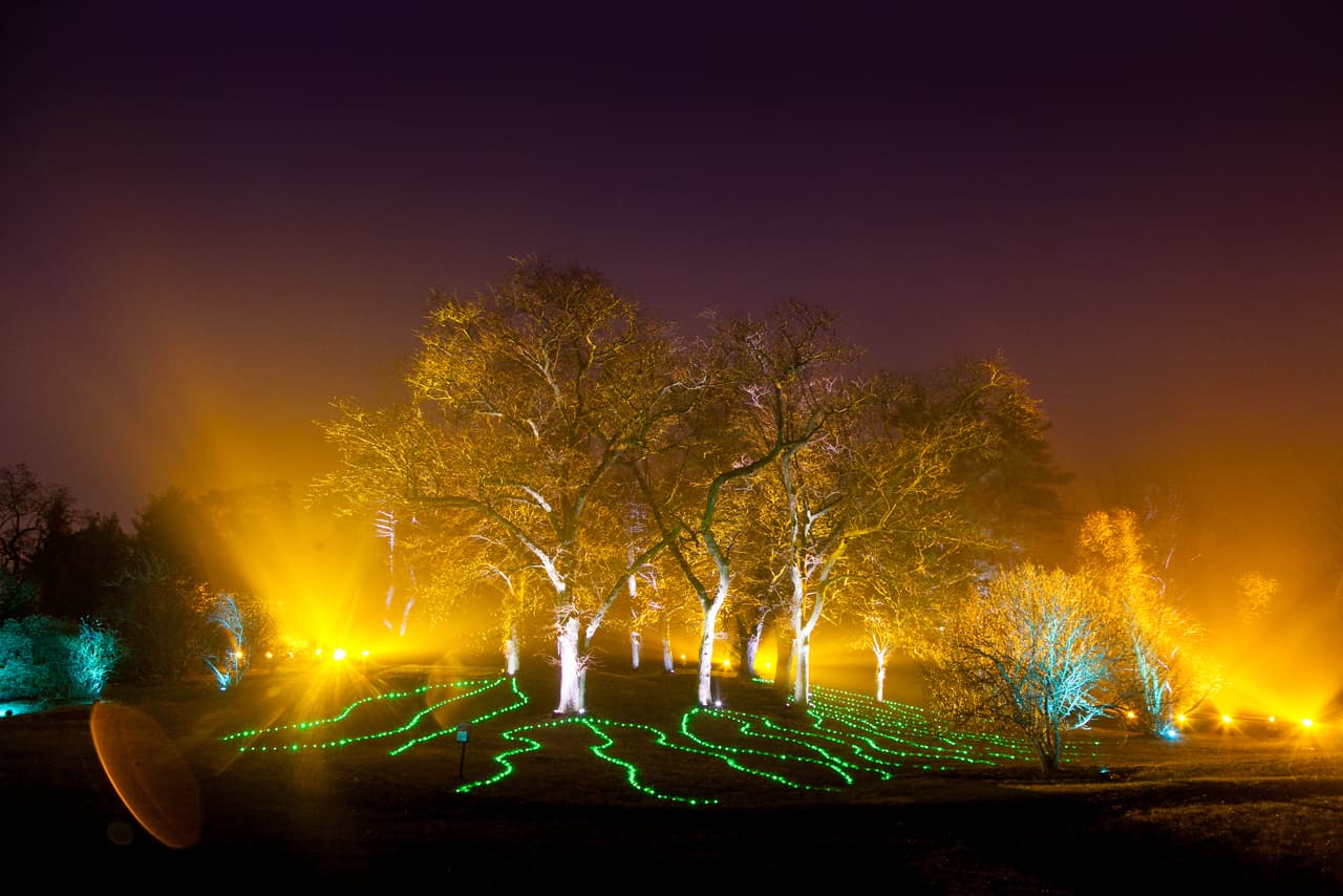 La octava edición de la iluminación de árboles del jardín botánico The Morton Arboretum abre sus puertas este viernes 20 de noviembre.