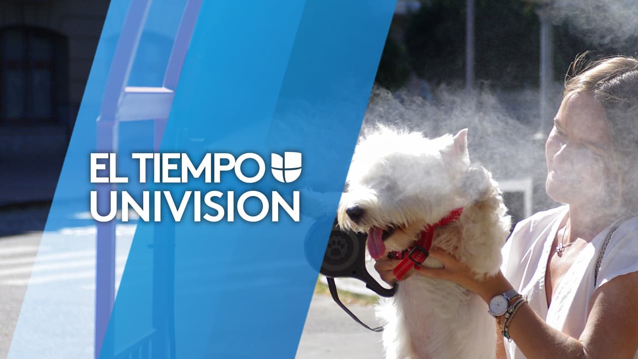 Después de la tormenta regresa el sol y las altas temperaturas a la mayor parte de Arizona