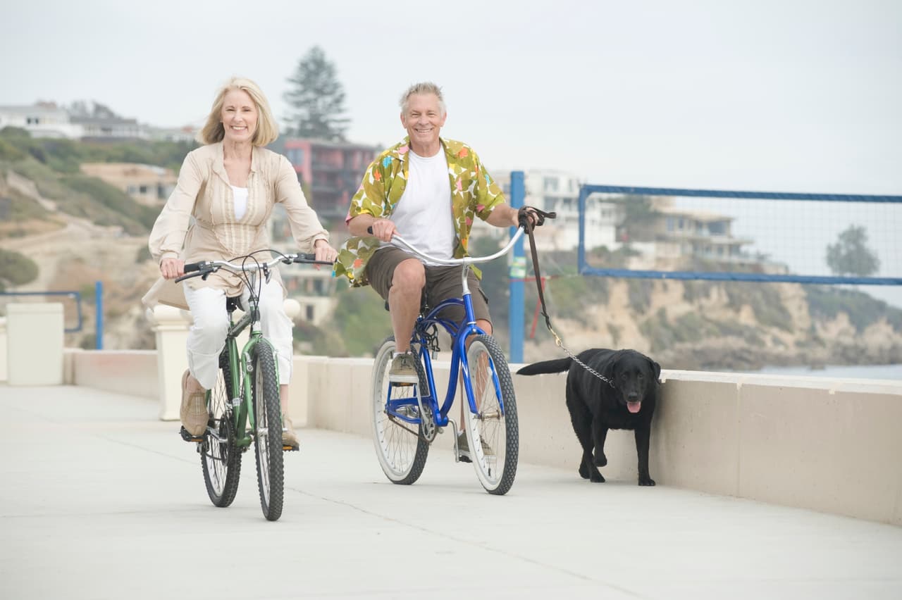Ejercicio. Diariamente tu mascota necesita moverse, eliminar toda esa energía de más que tiene en su cuerpo, ¡y activarse requiere un hábito!
