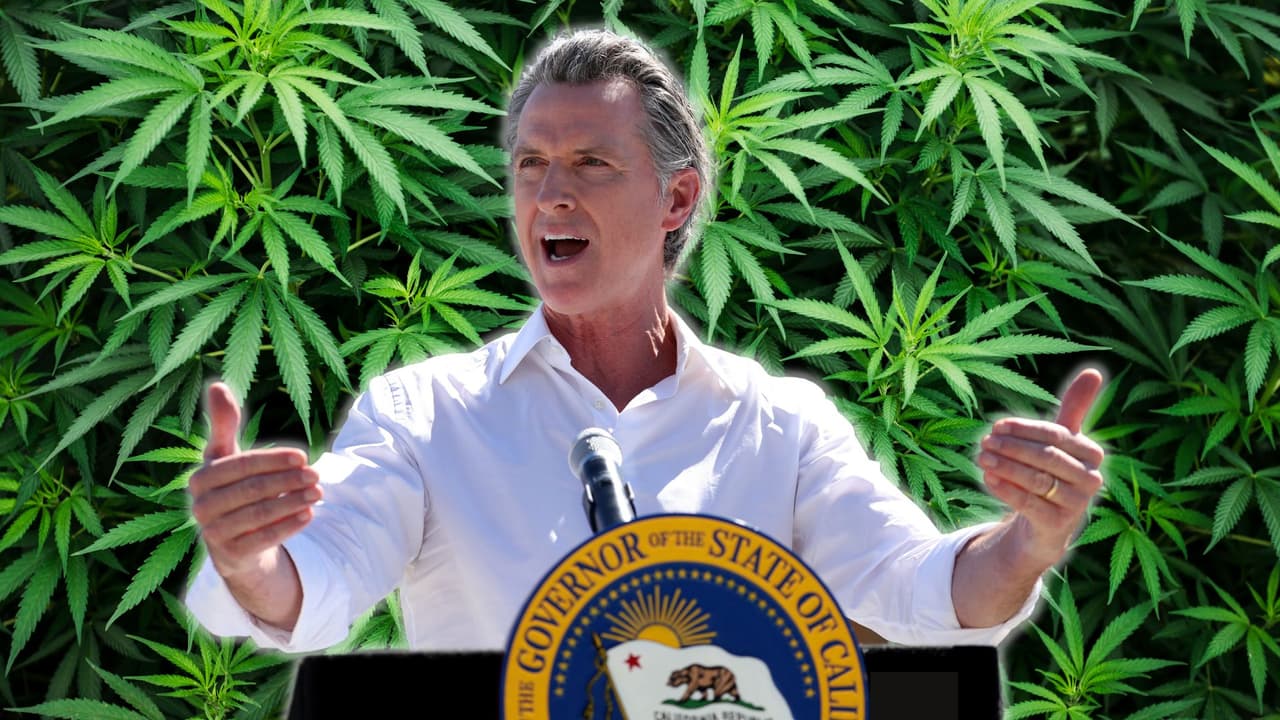 Newsom aprueba leyes que fomentarán la venta legal de la marihuana