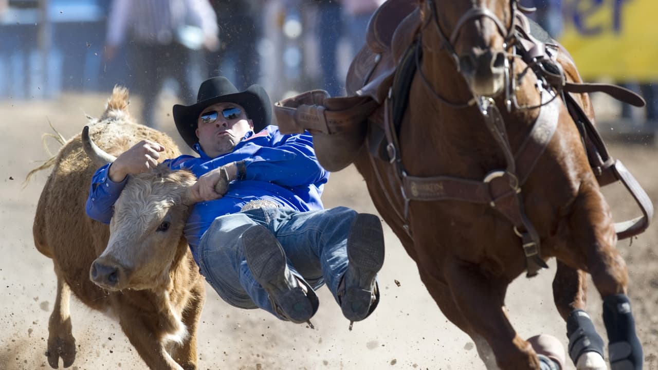 Saca tu sombrero y tus botas, empieza la Fiesta de los Vaqueros en Tucson, una tradición que cumple 98 años