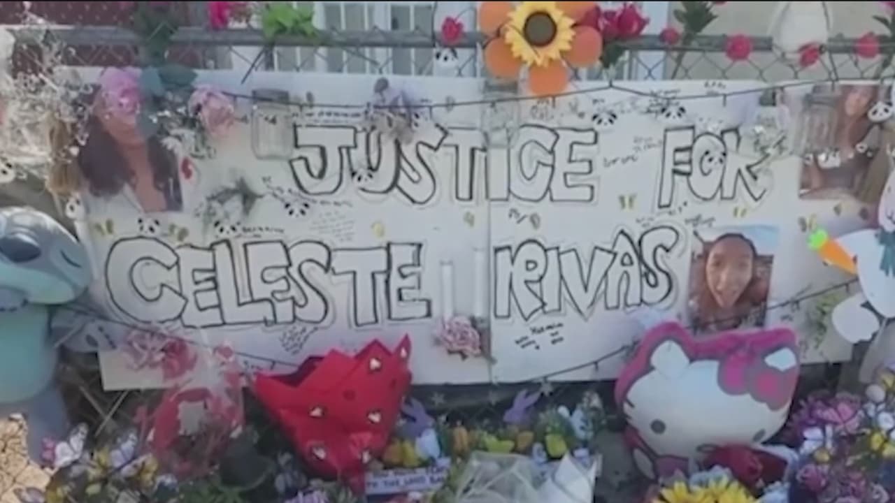 Asesinato de Celeste Rivas: hay evidencia suficiente para llevar a juicio al cantante D4vd, dice jueza