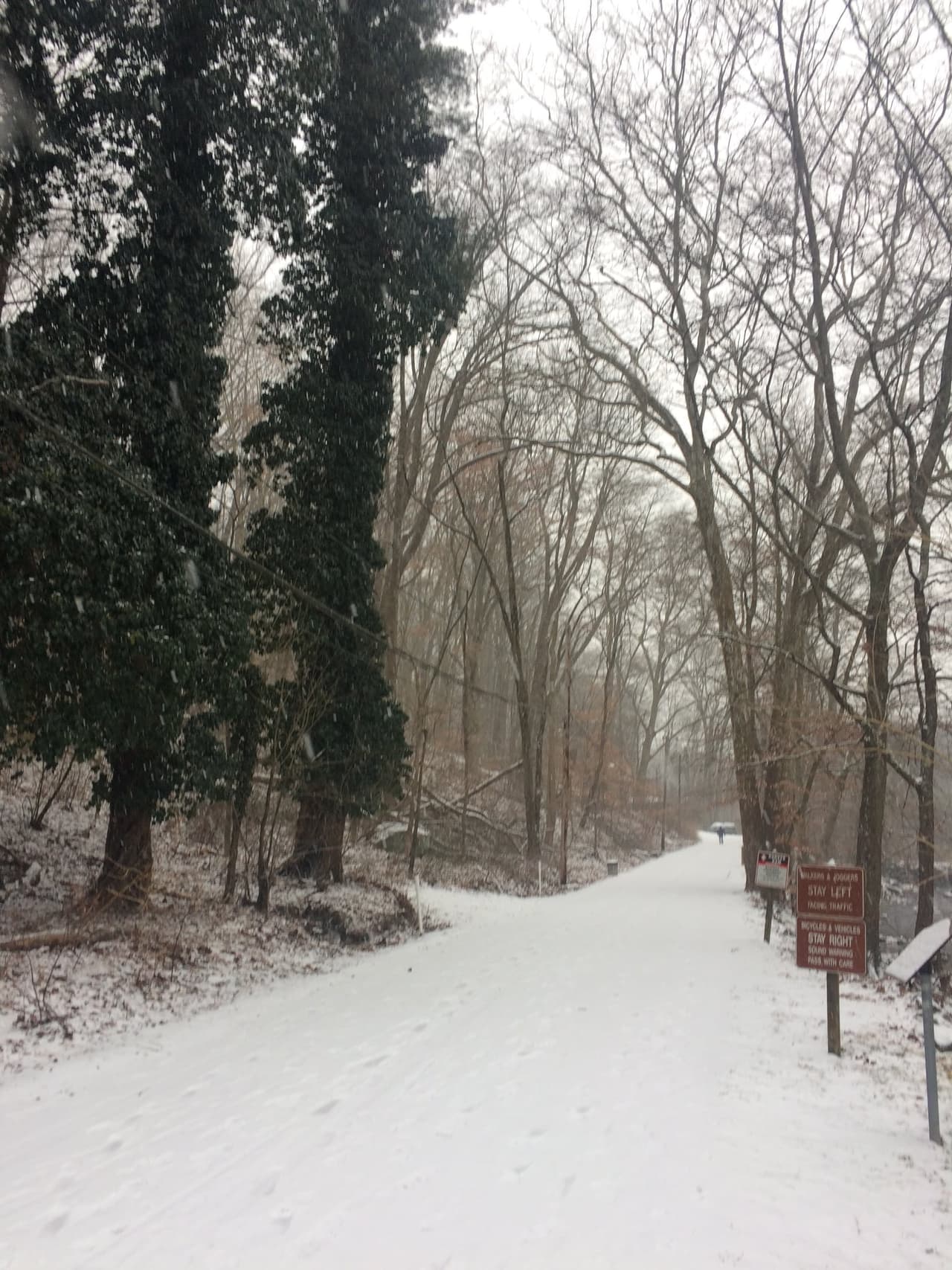 <b><a href="https://www.dcnr.pa.gov/StateParks/FindAPark/RidleyCreekStatePark/pages/default.aspx" target="_blank">Ridley Creek State Park</a></b>. Ridley Creek es otro hermoso parque estatal de Pensilvania, y fácilmente podrías pasar todo el día aquí. Si te abrigas bien, quizá no querrás dejar sus hermosos senderos nevados.