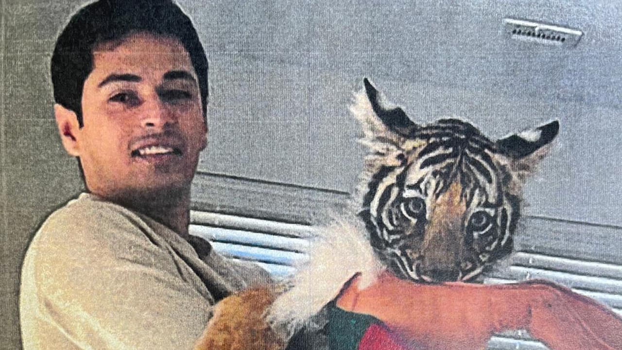 La relación de Víctor cuevas con el tigre es intrigante. Pues su defensa afirma que no le pertenece, sin embargo, se dieron a conocer fotos de cuevas con el felino.