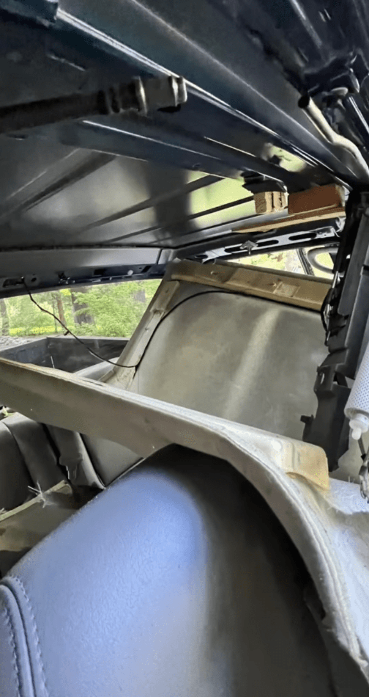 Oso destruye automóvil en Lake Tahoe