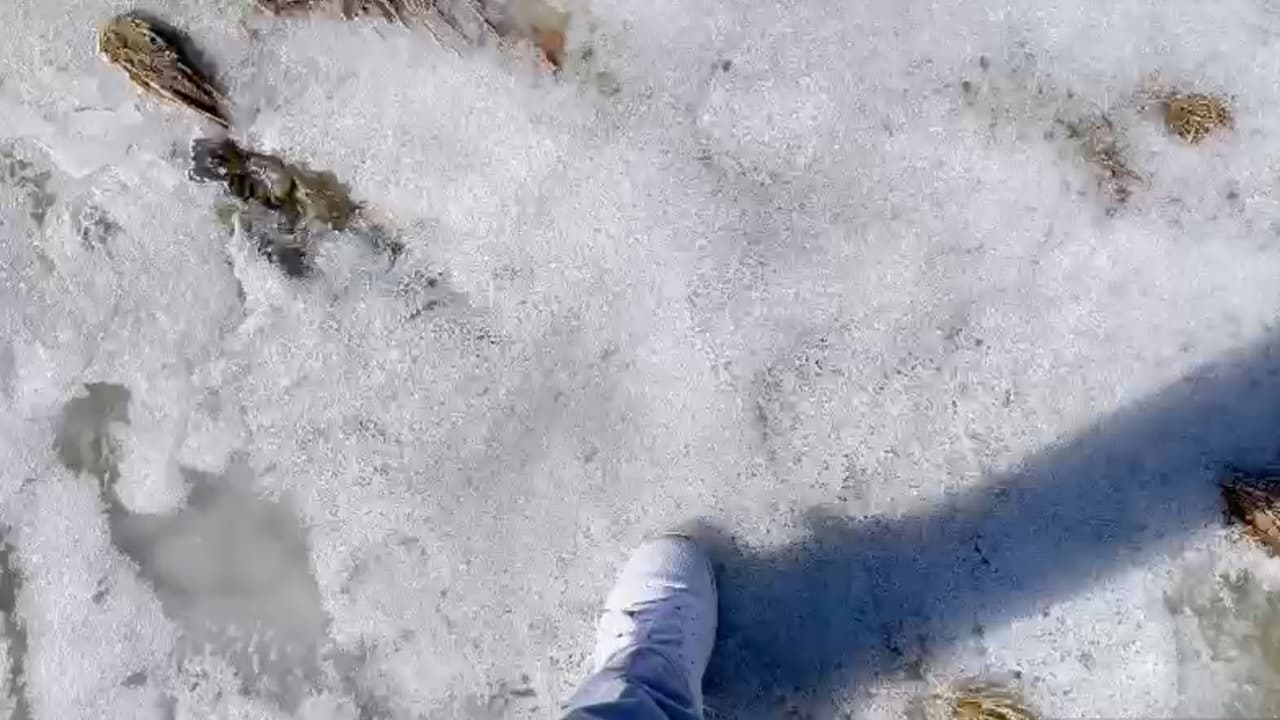 Se espera que las temperaturas bajen aún más durante el inicio de la próxima semana.
