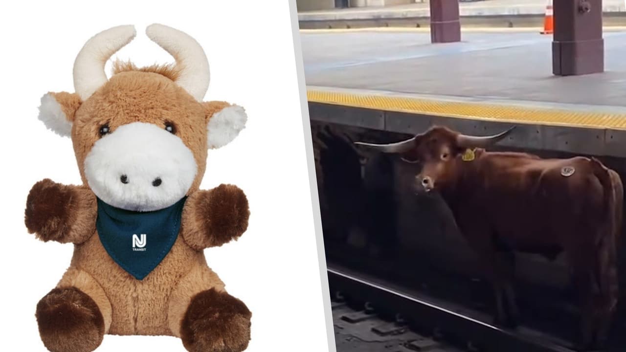 “Ricardo” el toro que irrumpió en estación del tren en Nueva Jersey tendrá su peluche