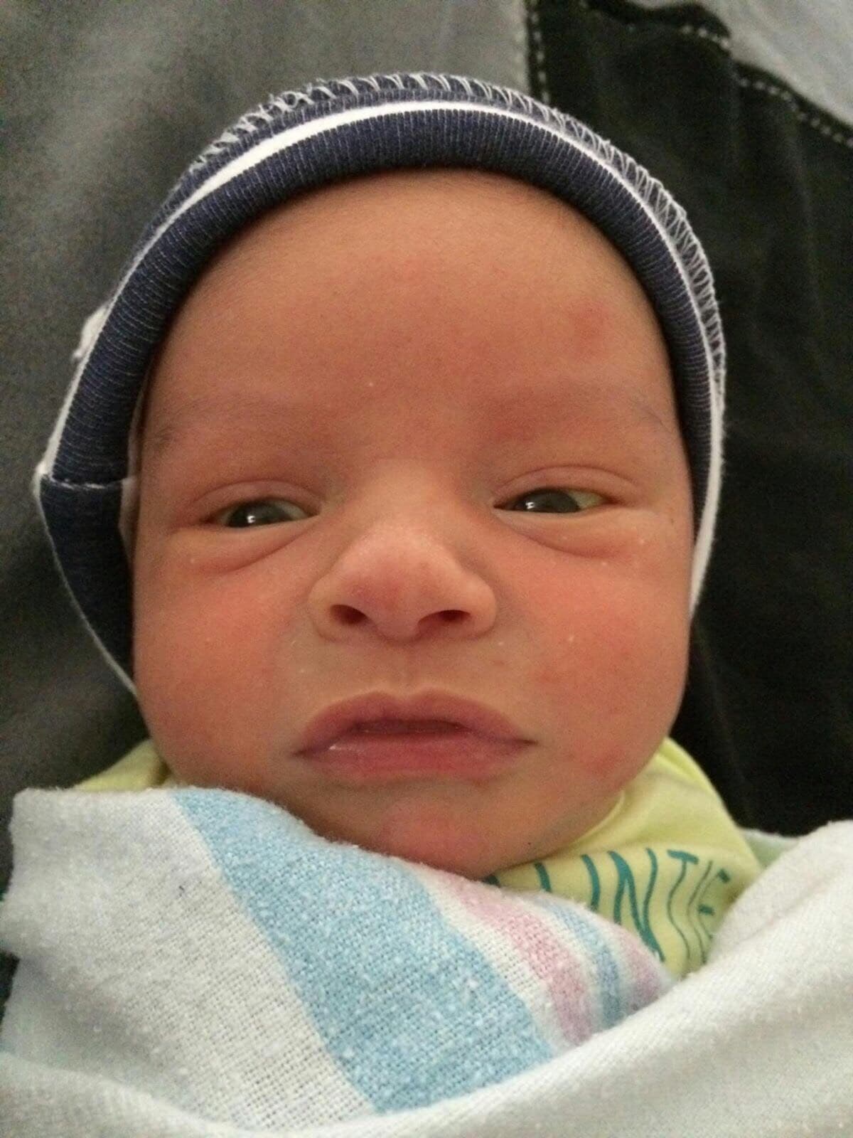 Algo no le gustó aquí