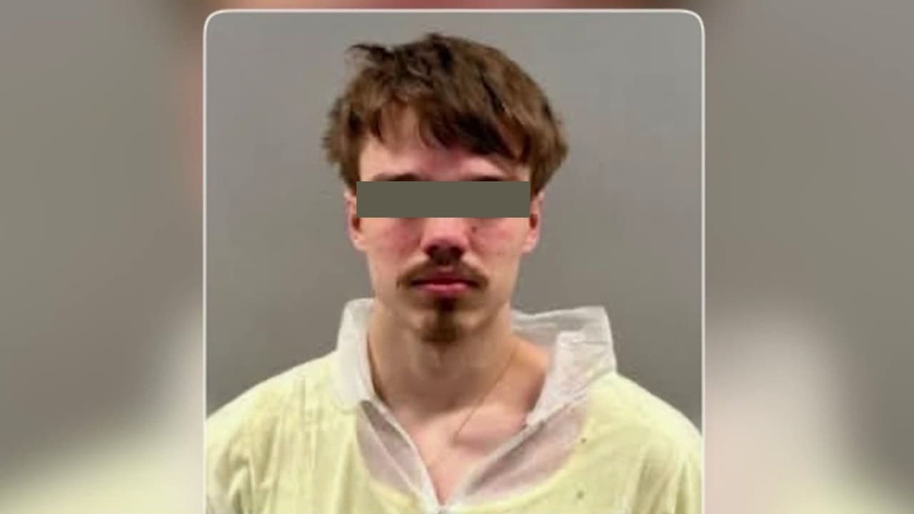 Detienen al presunto responsable del homicidio de una mujer embarazada en un suburbio de Illinois