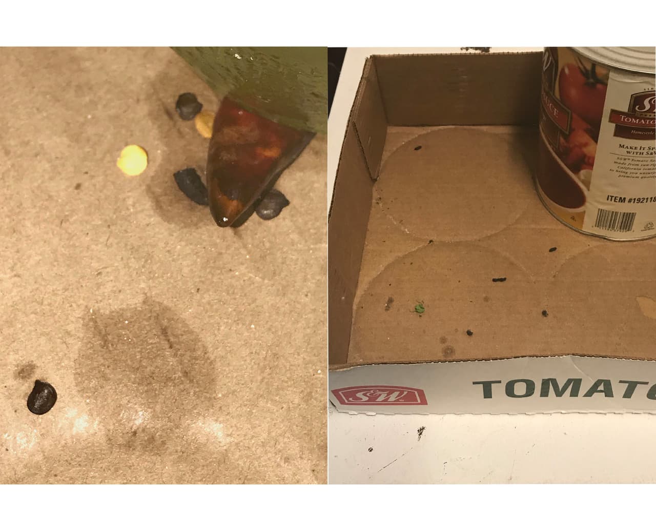 Clausuran seis restaurantes del condado de Kern por no pasar inspección sanitaria