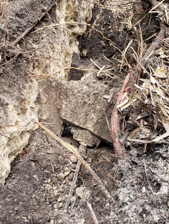 Los oficiales tambien vieron un cable que iba hacia la parte interior del túnel.