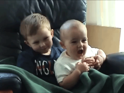 Al principio todo eran risas entre Harry, de tres años, y Charlie, de un año. 
<b><a href="https://www.youtube.com/watch?v=_OBlgSz8sSM">Aquí</a></b> puedes ver el video original.