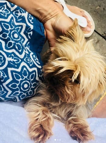 Cocó acompañó a la actriz durante sus vacaciones en agosto de 2018.