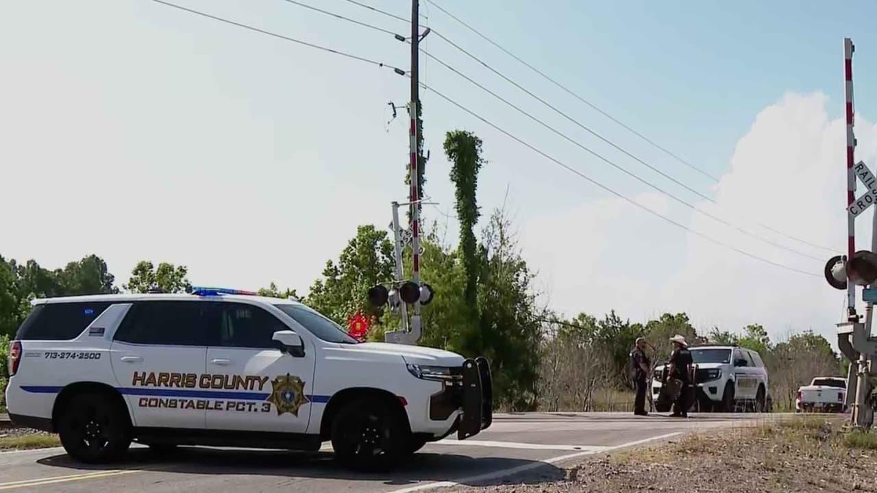 Choque entre tren y automóvil termina con complejo rescate por presencia de caimanes