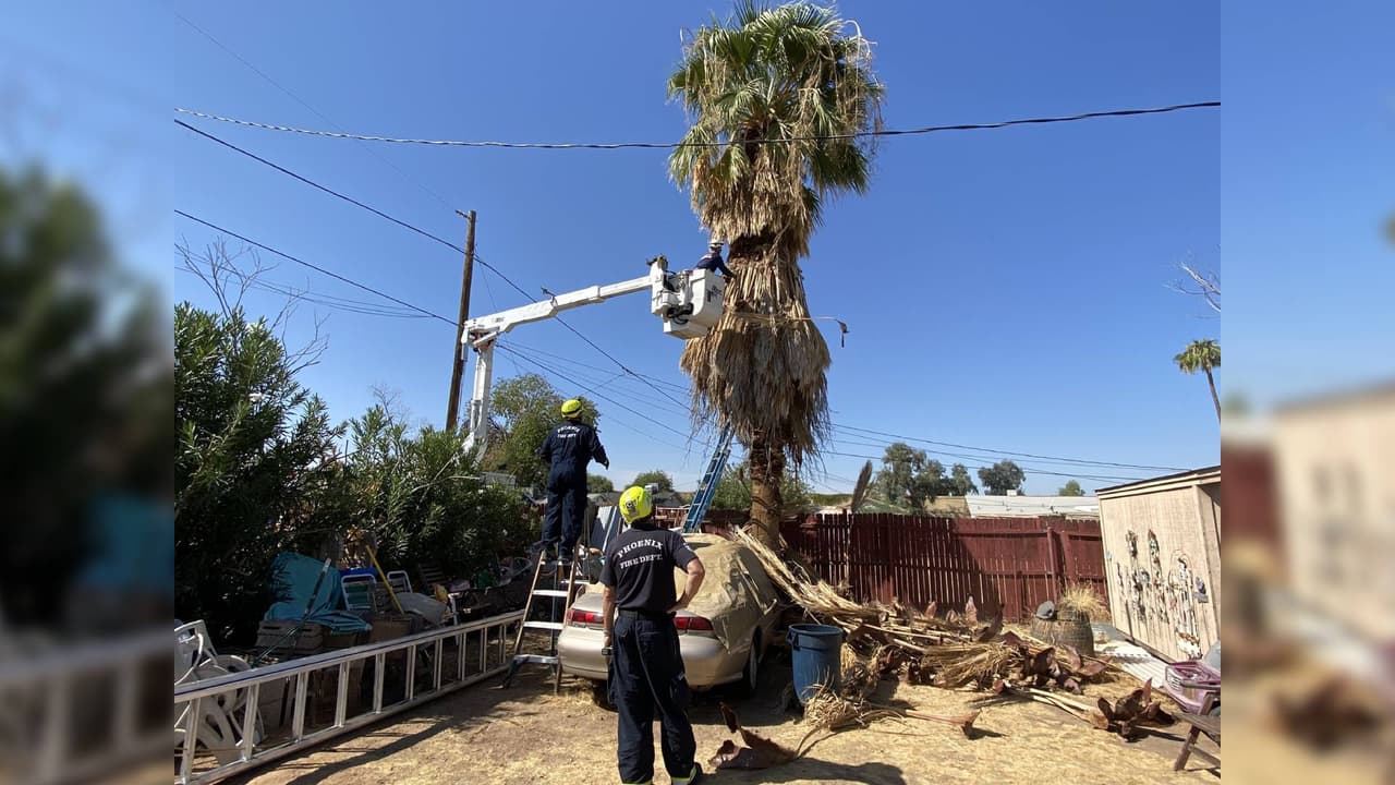 Padre de familia muere mientras podaba una palmera cerca de la calle 20 e Indian School Road