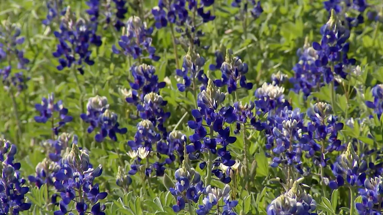 "¡Tenga cuidado al tomar fotografías familiares!", es la recomendación.