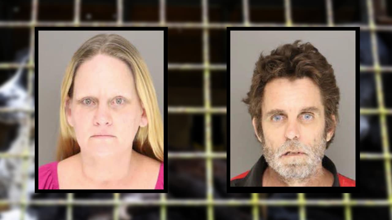 Hallan 10 perros muertos en un camión alquilado en el condado de Moore