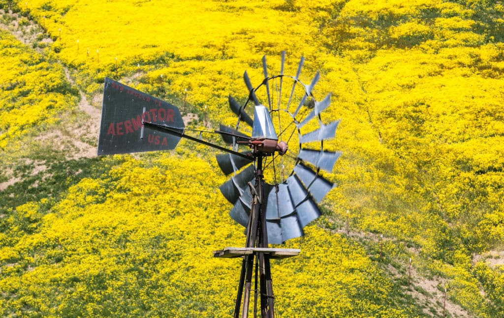 La colina ofrece bonitas vistas del fondo del lago y del valle y el paseo marítimo permite a los visitantes observar el lago salado.