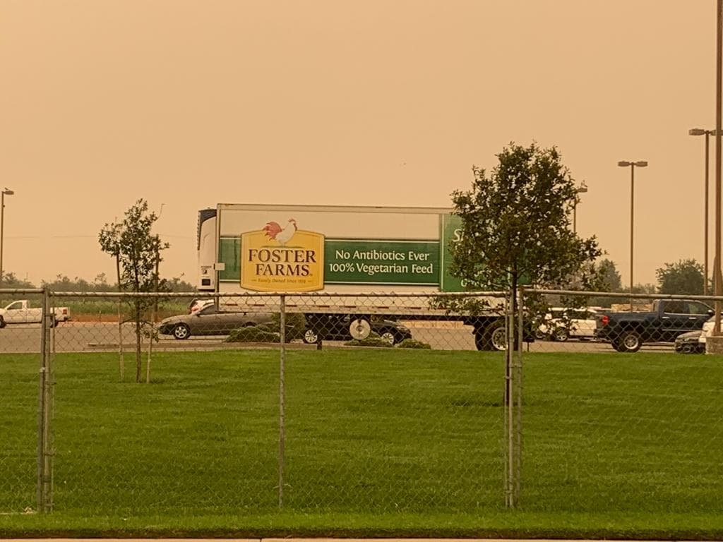 Brote de coronavirus en una planta de Foster Farms está sin control: 300 infectados y 7 muertos