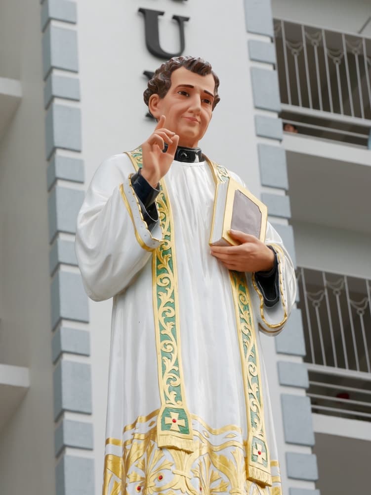 Juan Bosco fundó la Congregación Salesiana, el Instituto de las Hijas de María Auxiliadora, entre varias otras, y estuvo a cargo de varios sistemas educativos para la formación de niños y jóvenes, tanto en Europa como en América Latina.