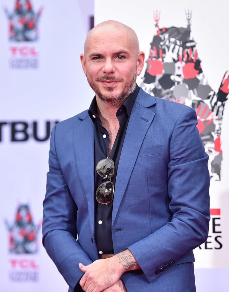 Pitbull