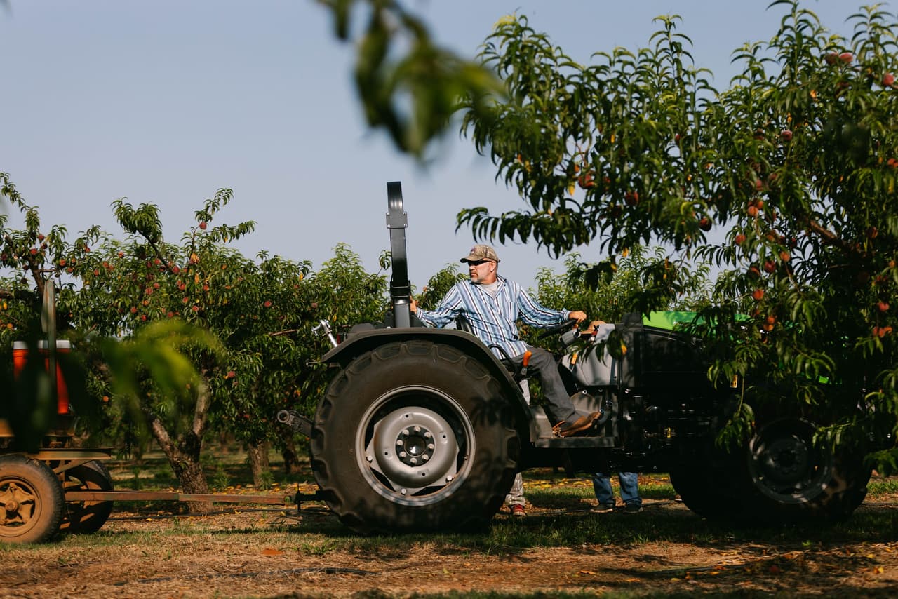 <b>Lane Southern Orchards</b>
<br>Dirección: 50 Lane Rd 50 Lane Road, Fort Valley, GA. 31030-5212
<br>Teléfono: 800-277-3224
<br>Sitio web:
<a href="https://lanesouthernorchards.com/">https://lanesouthernorchards.com/</a>
<br>
<b><a href="https://goo.gl/maps/PNgMp58hu34uTZEu7?coh=178573&entry=tt">Cómo llegar</a></b>
<br>
<br>Desde 1908, Lane Southern Orchards ha plantado, cultivado y cosechado los duraznos y pecanas de mejor sabor en Georgia. La finca incluye 3,000 acres de huertos de duraznos, 3,000 acres de arboledas de pacanas y un huerto de fresas de 6 acres.