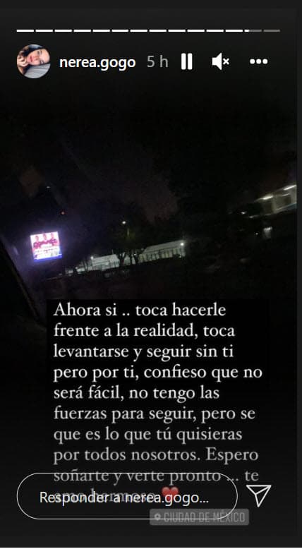 Mientras tanto, Nerea Godínez, la 
<b><a href="https://www.univision.com/famosos/vecinos-octavio-ocana-prometida-hijo-fotos" target="_blank">prometida de Octavio Ocaña</a></b>, compartió este mensaje en sus historias con el que reconoce que, tras la despedida que le dio en Tabasco, "toca hacerle frente a la realidad".