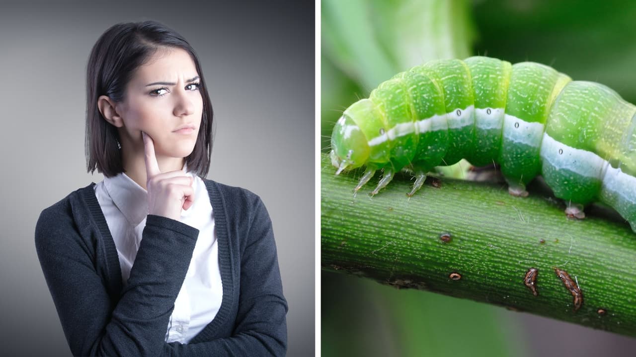 The Grosby Group y Shutterstock