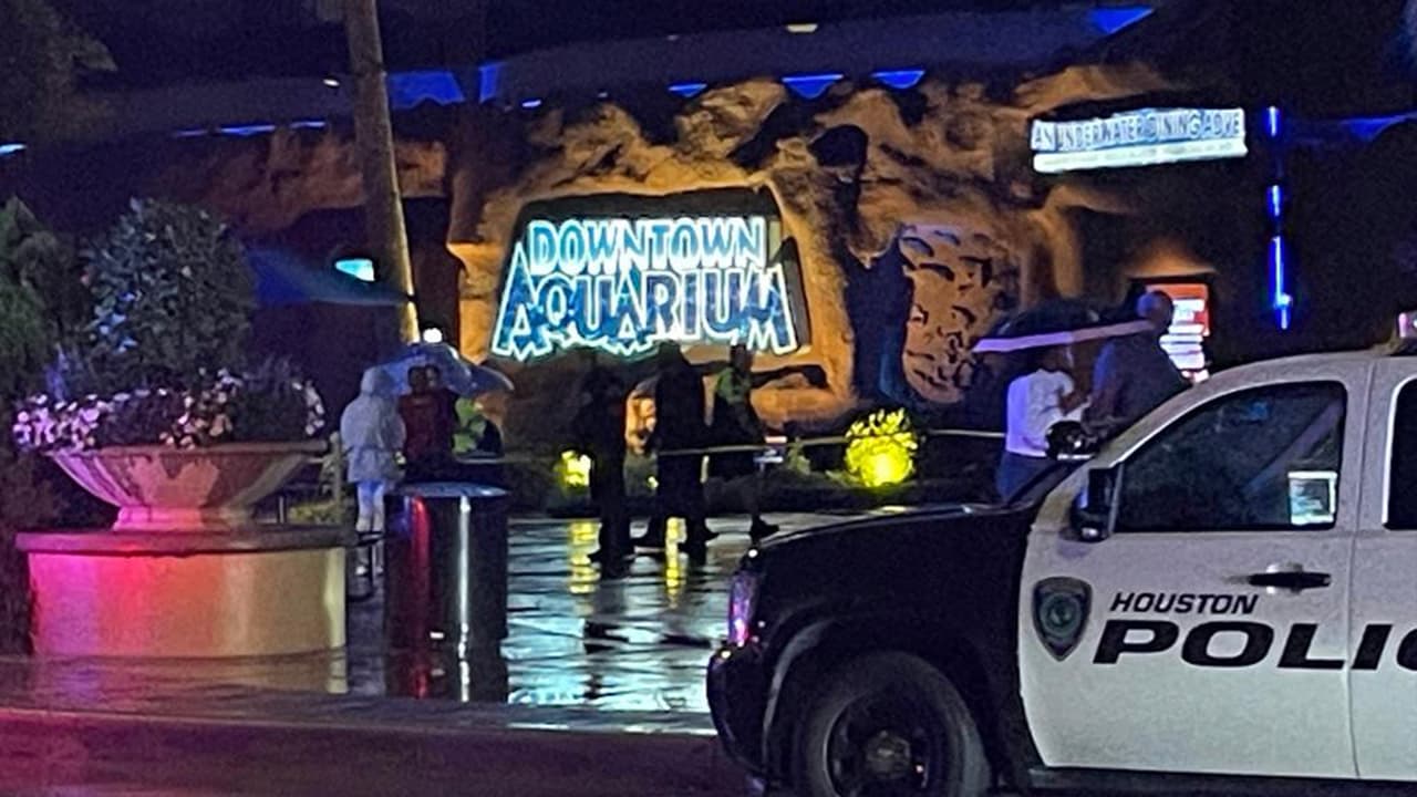 Se desconocen las causas del incidente pero se presume que sea un caso de homicidio-suicidio.