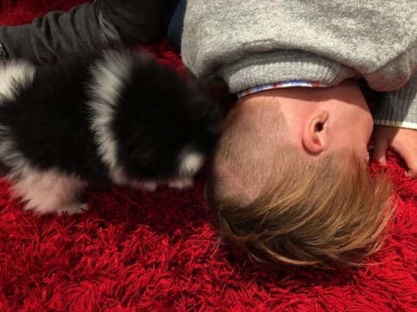 Hasta Mateo, el hijo de Galilea Montijo, ha caído rendido ante la ternura de su nuevo amigo de cuatro patas.