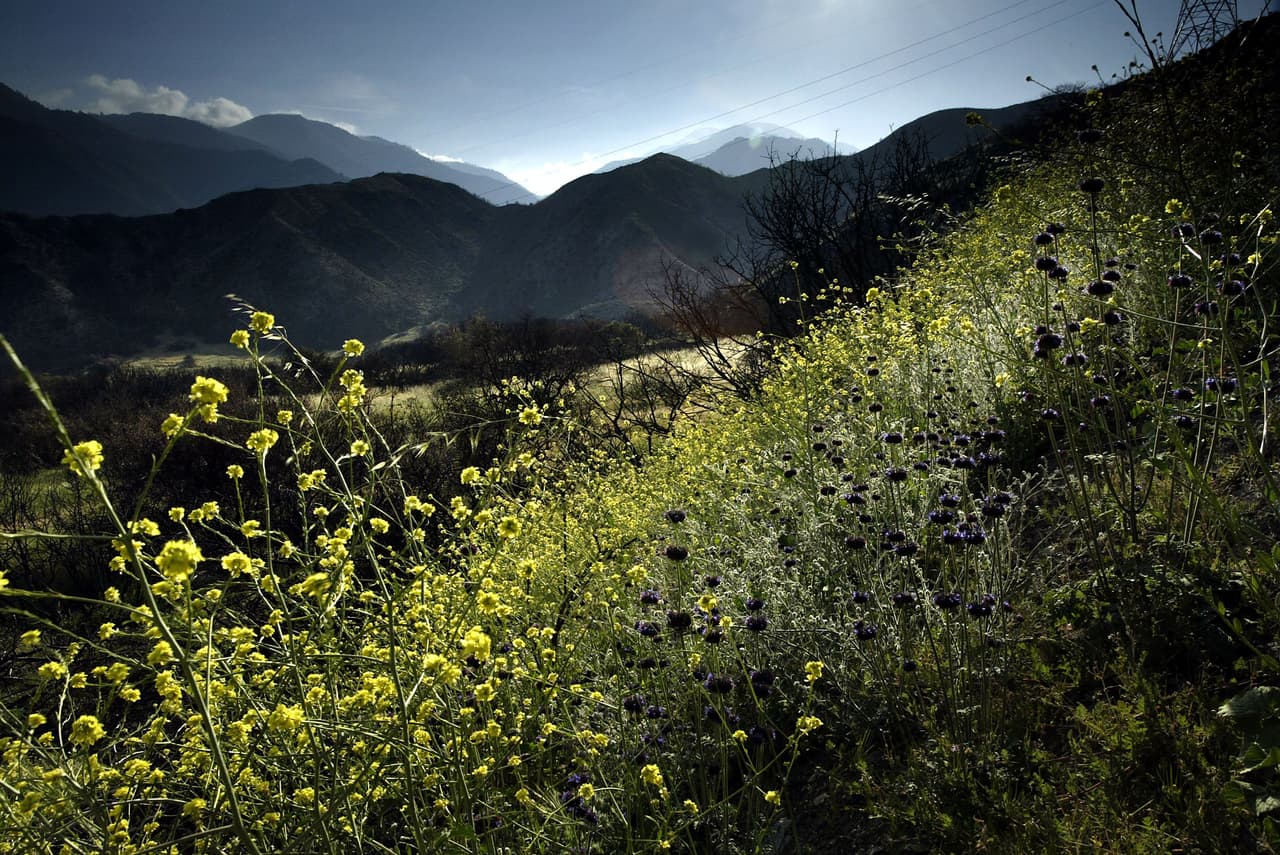 Durante toda su vida muchos recurrieron a ella para saber el paradero de sus familiares desaparecidos, para que los sanara con sus conocimientos sobre las hierbas y para buscar consuelo en sus palabras.