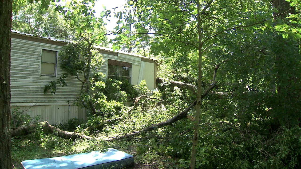 Al menos unas 14 viviendas móviles resultaron afectadas en Tomball, Texas por la caída de árboles tras el paso de un tornado categoría F-0. Las casas móviles no son un lugar seguro durante tormentas. Planee con anticipación a dónde dirigirse en caso de que las condiciones empeoren en su zona.Texas