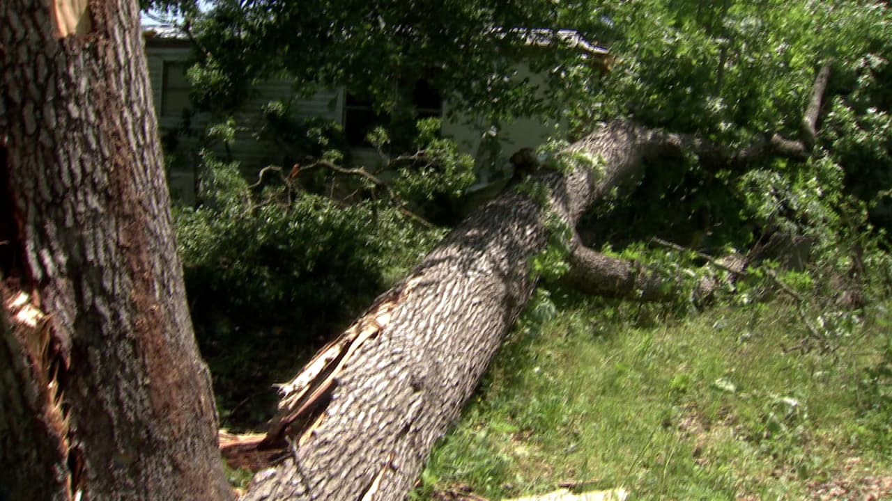 Abbott prepara recursos estatales a medida que el clima severo se acerca a Texas