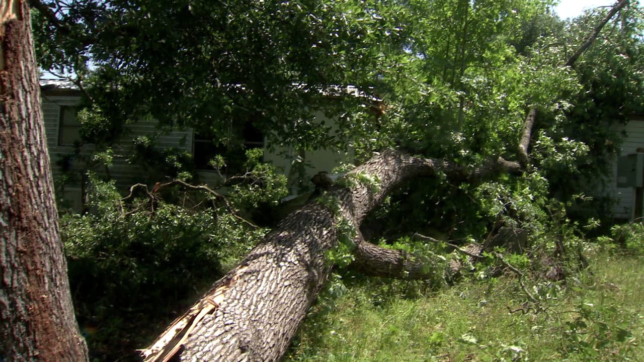 Al menos unas 14 viviendas móviles resultaron afectadas en Tomball, Texas por la caída de árboles tras el paso de un tornado categoría F-0. Las casas móviles no son un lugar seguro durante tormentas. Planee con anticipación a dónde dirigirse en caso de que las condiciones empeoren en su zona.