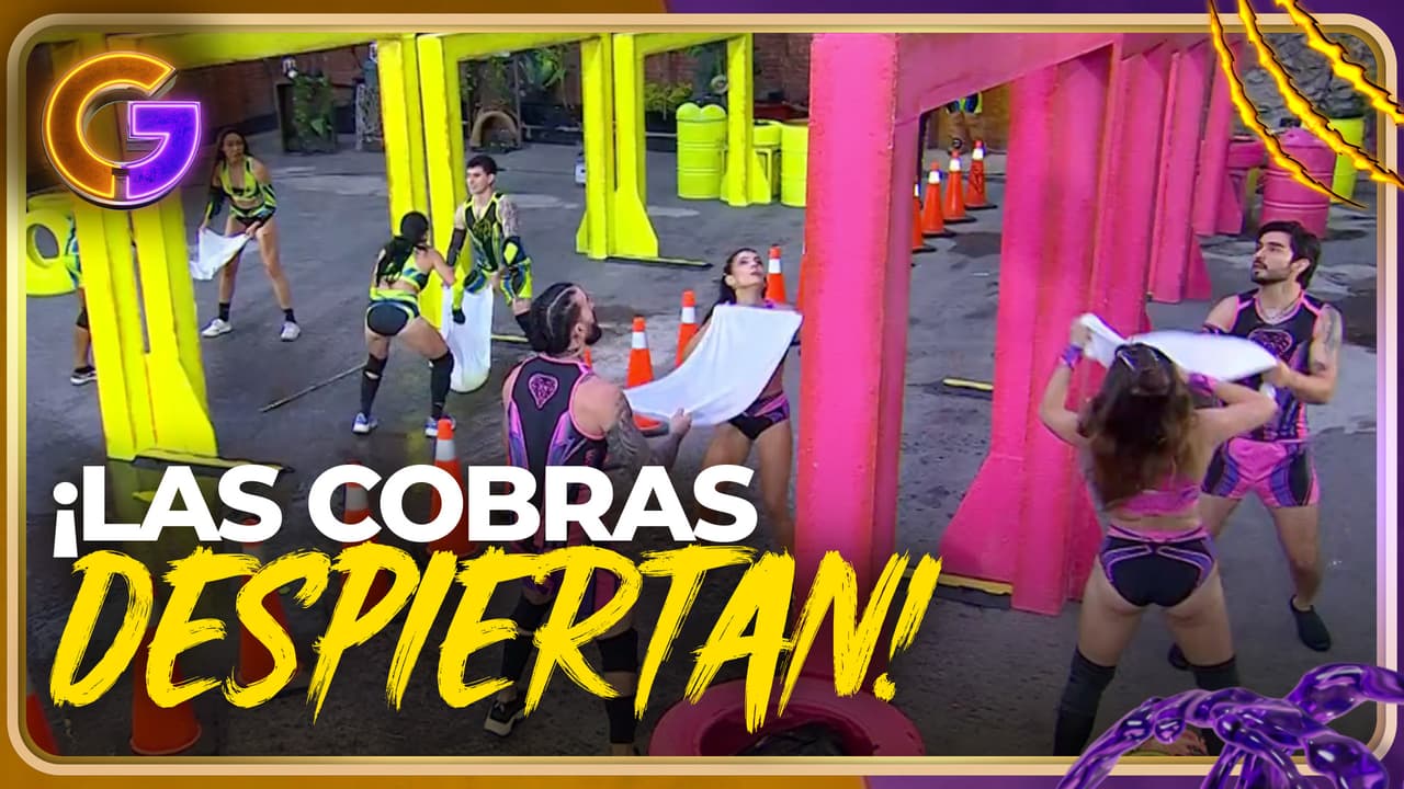 Las Cobras reaccionan y dan TREMENDA SACUDIDA a los Leones en "Atrapa el globo" #GuerrerosMundiales