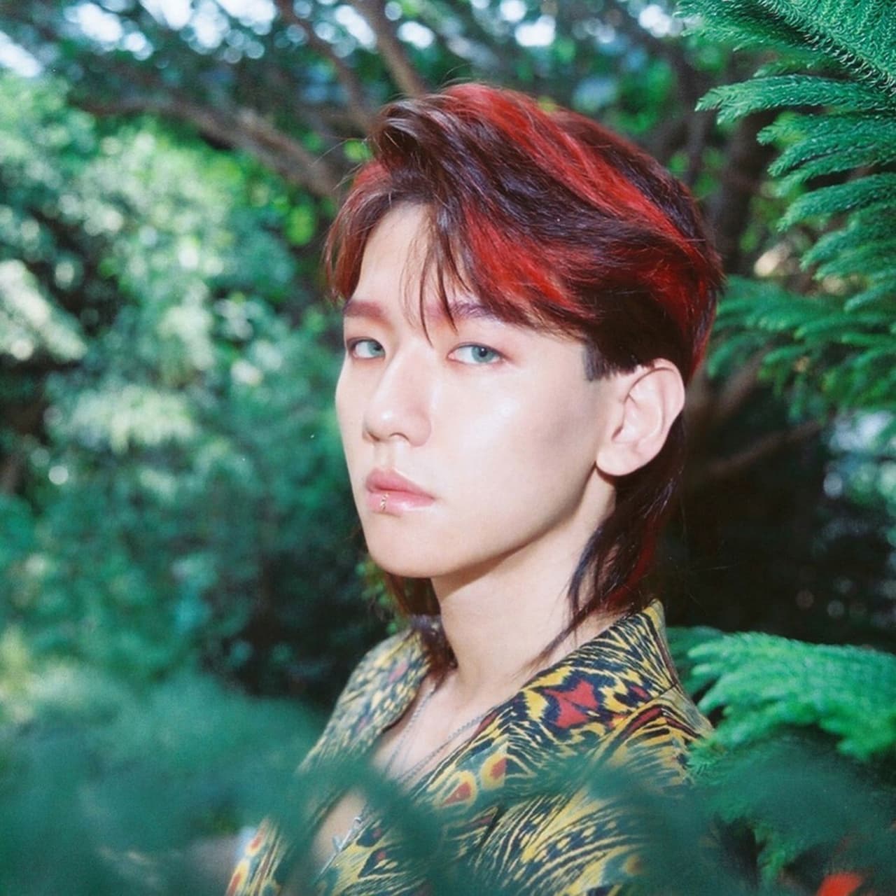 Byun Baek-hyun es un actor, cantante, bailarín y modelo que es integrante de la boy band EXO.En esta imagen, el IDOL muestra un corte Mullet con mechas rojas. Este es un estilo muy popular en Corea del Sur, pero en México no lo es tanto porque personajes como Albertano lo utilizan.