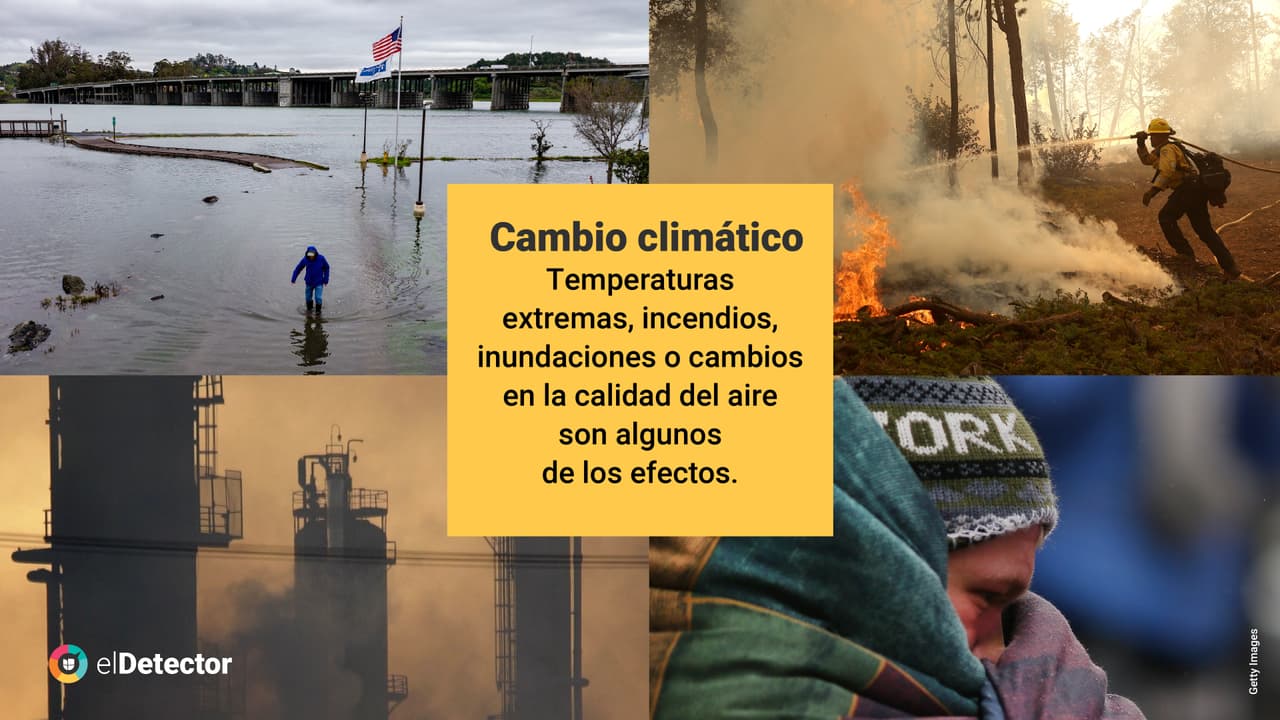 <b><a href="https://www.univision.com/noticias/verdad-comunidades-bajos-recursos-y-de-color-afectadas-cambio-climatico?utm_campaign=elDetector&utm_medium=social&utm_source=twitter" target="_blank">Lee aquí la verificación completa de elDetector.</a></b>