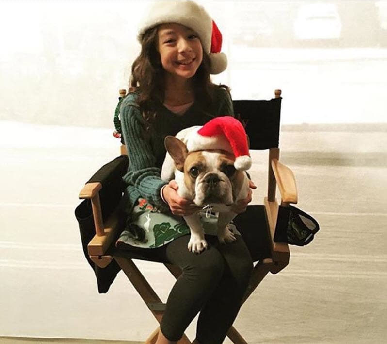 En el año 2017, los dueños de Beatrice, Guin y Steve Solomon, dieron una entrevista al blog 
<b><a href="http://www.bodieontheroad.com/stella-from-modern-family-beatrice/" target="_blank">'Bodie on the road'</a></b> y hablaron acerca de la experiencia de estar en las grabaciones de 'Modern family' con la mascota.
<br>