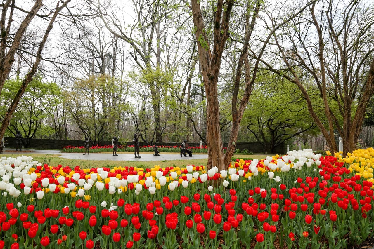 <b><a href="https://botgarden.uga.edu/">State Botanical Garden of Georgia (Athens)</a></b>. Esta reserva de 313 acres es utilizada por la Universidad de Georgia como laboratorio de horticultura y está abierta al público.
<br>
<br>
<b><a href="https://goo.gl/maps/yizALmrD5VhHh1TQ8">Cómo llegar</a></b>