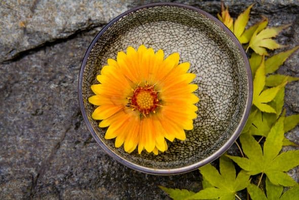 No hay un jardín japonés típico, ni materiales que sí deban estar para que sea zen, explica en el sitio de la Universidad de Bowdoin (Maine), Clifton C. Olds, profesor de historia del arte, experto en jardines japoneses.