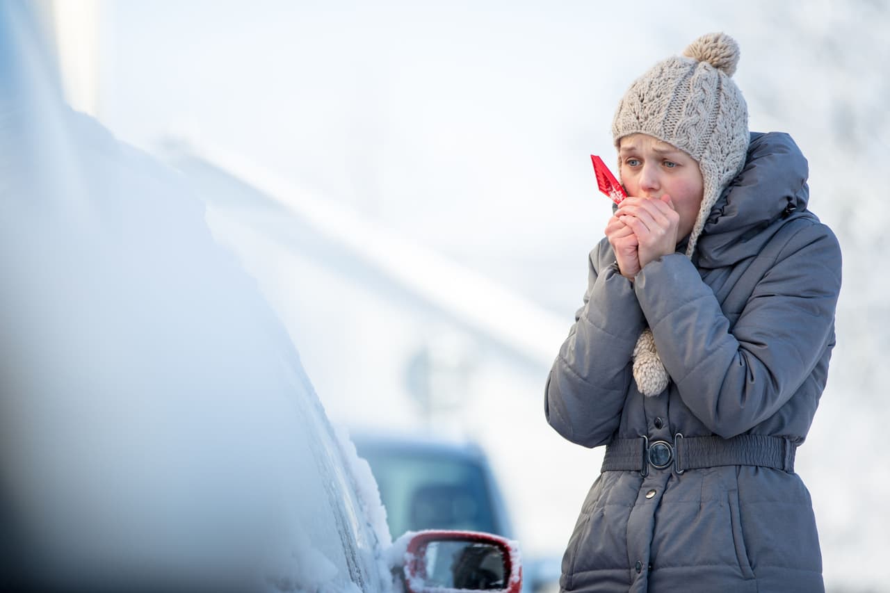 <b>Cuida los cambios bruscos de temperatura.</b> Evita salir a la calle cuando esté nevando si al interior de tu casa tenías la calefacción a su máxima potencia. Apaga la calefacción unos minutos antes de salir para que el cambio de temperatura no sea tan drástico.