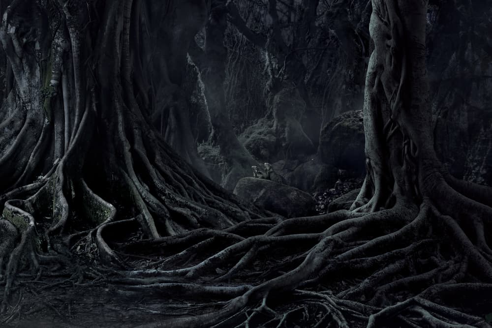 La teoría de los universos paralelos ha encontrado eco en la literatura fantástica, sobre todo en los cuentos de horror en el que los describen como lugares sombríos e infernales repletos de formas de vida monstruosas.