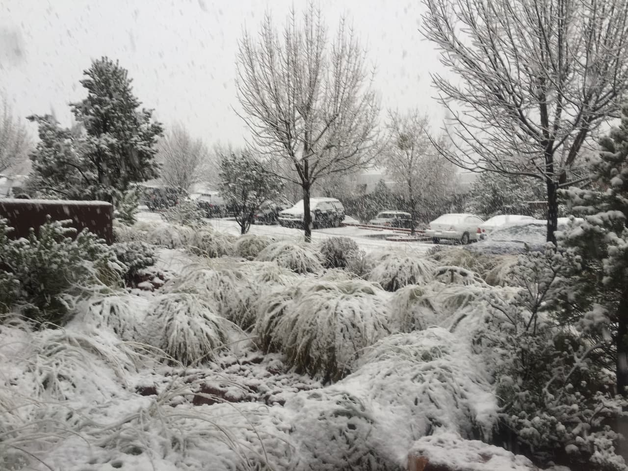 Un amanecer blanco en Sedona.