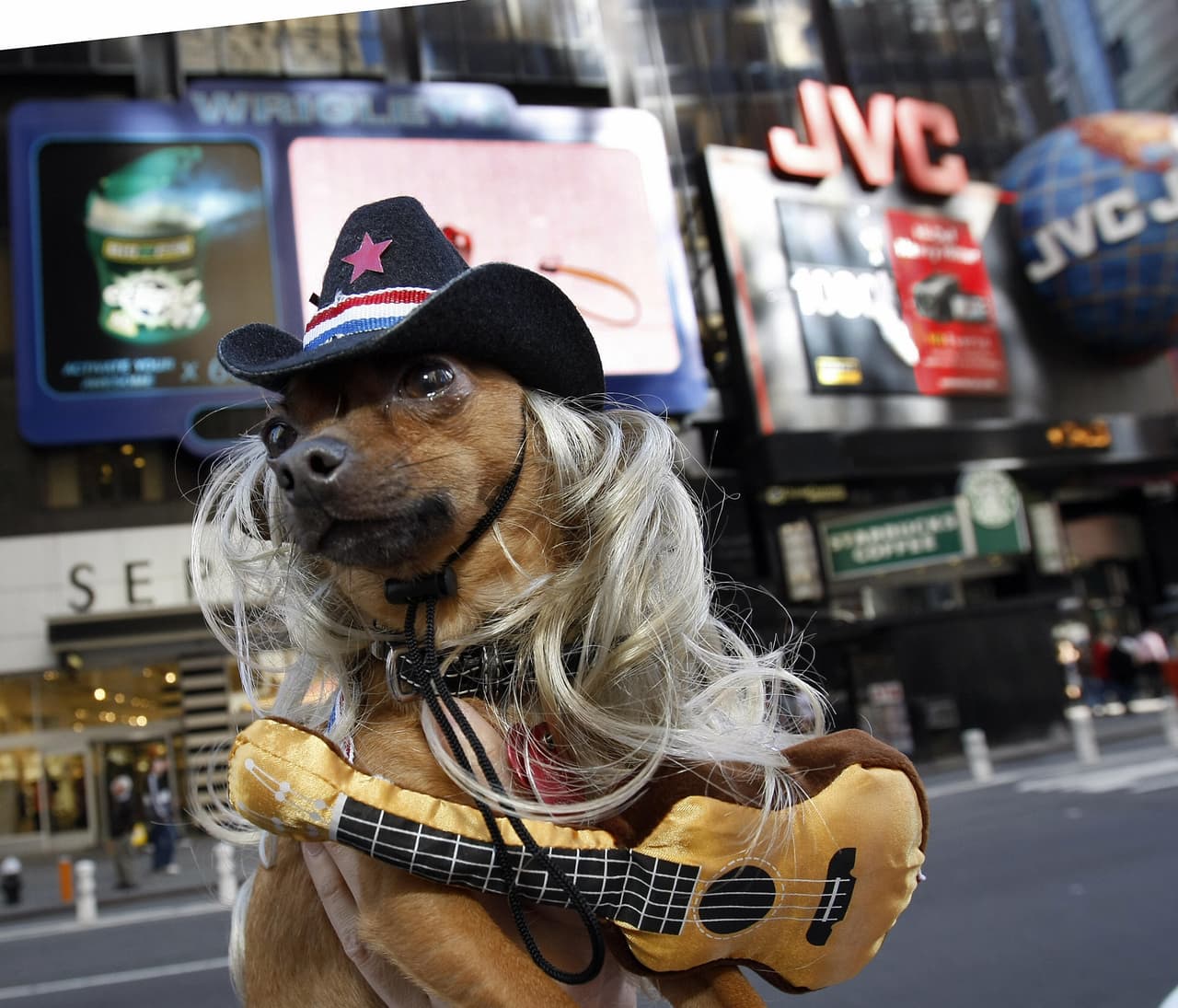 Times Square presentará un concierto para perros