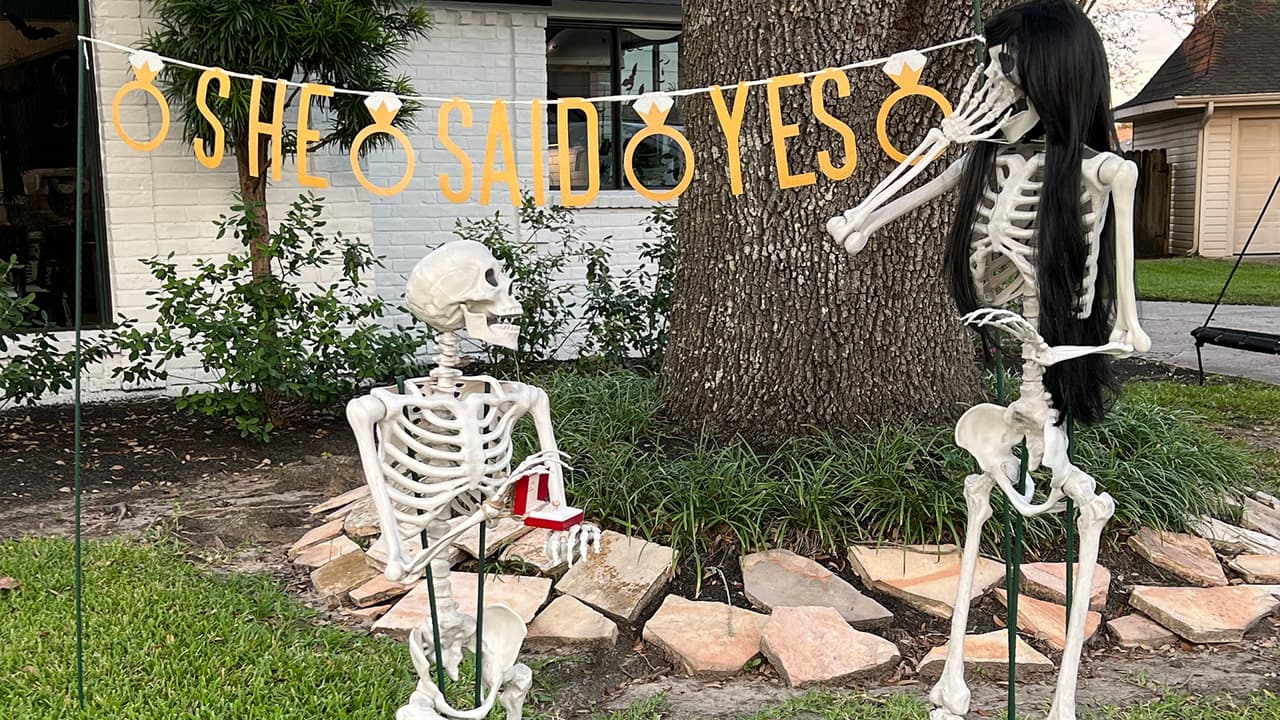 Mr. Bones decidió ir más allá en la relación al proponerle matrimonio, a lo que Miss Stella Tahn no dudó en decirle que sí.