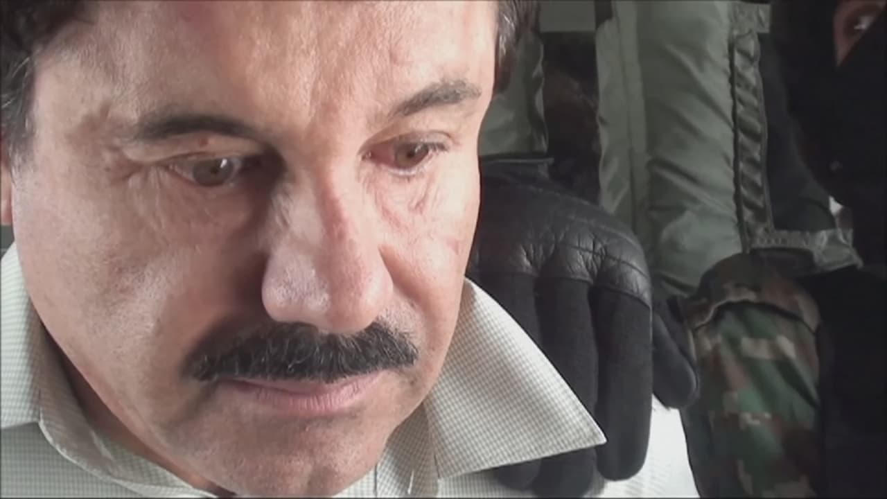 Autoridades mexicanas responden a pareja de "El Chapo" que actúan bajo el reglamento