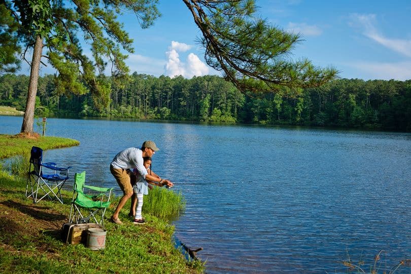 <b>VAYAN DE PESCA</b>. Con una gran variedad de tipos de cuerpos de agua en Georgia hay también muchos peces de caza, desde truchas arco iris de colores brillantes en los arroyos de montaña del norte de Georgia, hasta otras variedades en la costa de la isla Jekyll y agallas azules del tamaño de una mano en casi cualquier lugar.